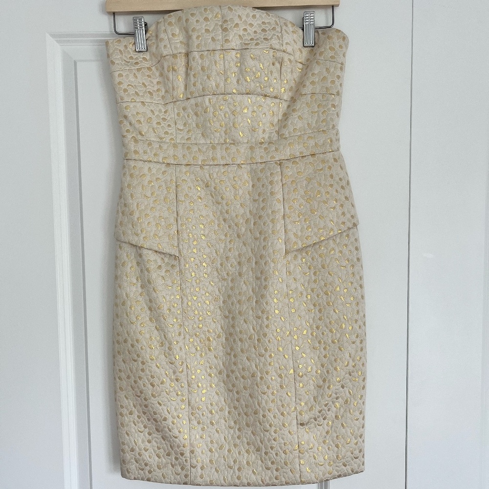 Cynthia Steffe Cocktail, Bachelorette or Wedding Shower Dress! Size 4